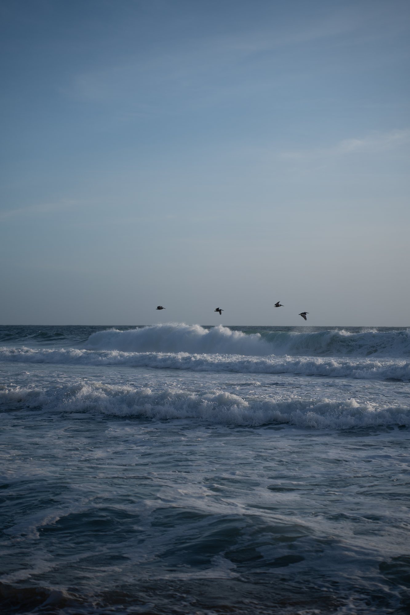 A quiet view of the ocean and distant birds