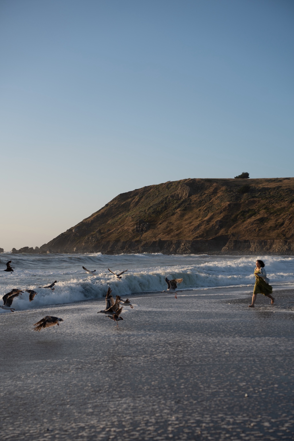 A woman running along the surf as birds take flight